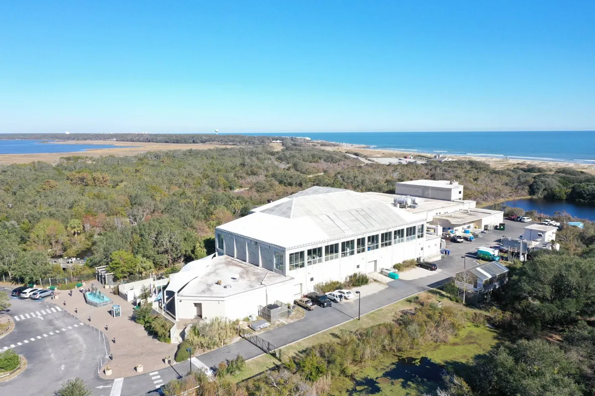 A serene exterior shot of Hollis House surrounded by lush greenery and with sweeping coastal views. The open outdoor space offers plenty of room for relaxing and space where pets could roam safely. The natural landscape and proximity to the ocean set a tranquil, private scene ideal for both owners and their pets.