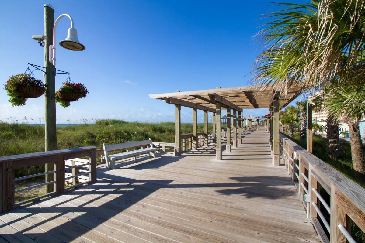 A peaceful wooden walkway lined with hanging flower baskets and palm trees, inviting guests to take relaxing walks in natural surroundings. The serene atmosphere suggests a perfect morning stroll with a pet, just as described in the section.