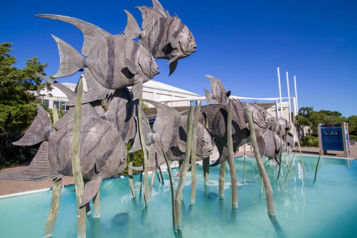 A vibrant exterior scene featuring large, playful fish sculptures bordering calm water and surrounded by green landscaping. The area is lively and inviting, perfect for strolls with pets, and evokes the sense of a community that values outdoor enjoyment and creativity.